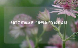 剑门关旅游攻略,广元到剑门关旅游攻略