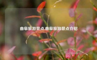 曲阜旅游景点,曲阜旅游景点介绍