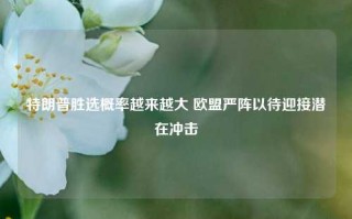 特朗普胜选概率越来越大 欧盟严阵以待迎接潜在冲击