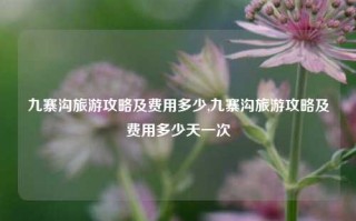 九寨沟旅游攻略及费用多少,九寨沟旅游攻略及费用多少天一次