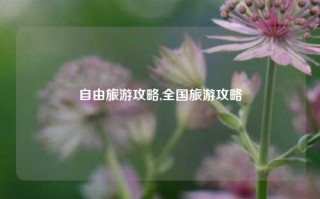 自由旅游攻略,全国旅游攻略