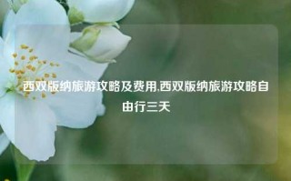 西双版纳旅游攻略及费用,西双版纳旅游攻略自由行三天