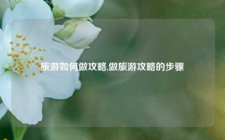 旅游如何做攻略,做旅游攻略的步骤