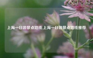 上海一日游景点路线,上海一日游景点路线推荐