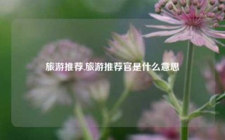 旅游推荐,旅游推荐官是什么意思