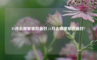 11月去哪里旅游最好,11月去哪里旅游最好?