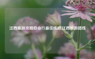 江西旅游攻略自由行最佳线路,江西旅游路线