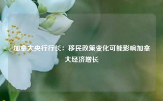 加拿大央行行长：移民政策变化可能影响加拿大经济增长