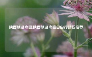 陕西旅游攻略,陕西旅游攻略自由行路线推荐