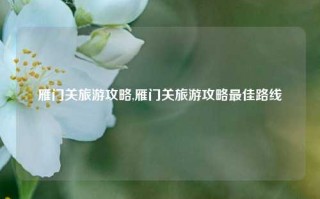 雁门关旅游攻略,雁门关旅游攻略最佳路线