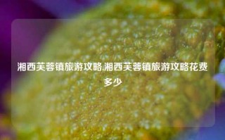 湘西芙蓉镇旅游攻略,湘西芙蓉镇旅游攻略花费多少