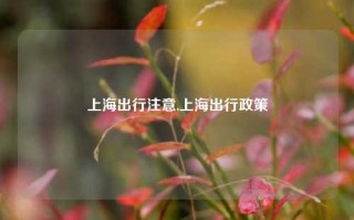 上海出行注意,上海出行政策