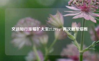 文远知行涨幅扩大至27.29%，再次触发熔断