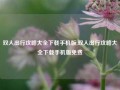 双人出行攻略大全下载手机版,双人出行攻略大全下载手机版免费