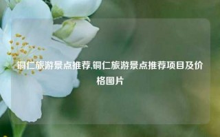 铜仁旅游景点推荐,铜仁旅游景点推荐项目及价格图片