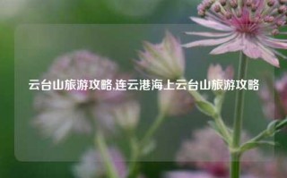 云台山旅游攻略,连云港海上云台山旅游攻略