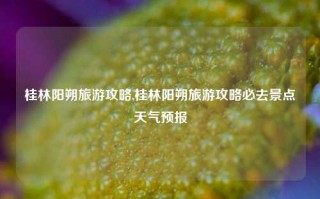 桂林阳朔旅游攻略,桂林阳朔旅游攻略必去景点天气预报