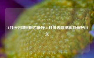 11月份去哪里旅游最好,11月份去哪里旅游最好山东