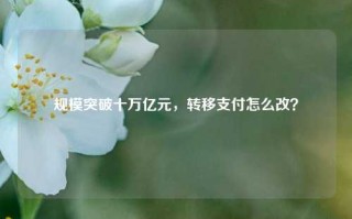 规模突破十万亿元，转移支付怎么改？