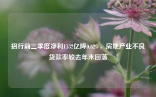 招行前三季度净利1132亿降0.62%，房地产业不良贷款率较去年末回落