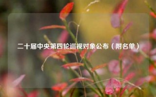 二十届中央第四轮巡视对象公布（附名单）