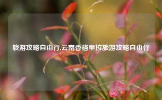 旅游攻略自由行,云南香格里拉旅游攻略自由行