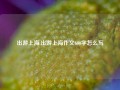 出游上海,出游上海作文600字怎么写