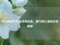 华为概念汽车股冲高回落，赛力斯江淮股价创新高