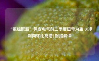 “重组妖股”保变电气前三季度扭亏为盈 Q3净利同环比高增|财报解读