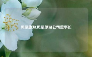 凤凰旅游,凤凰旅游公司董事长