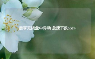 思享无限盘中异动 急速下跌5.54%