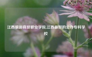 江西旅游商贸职业学院,江西最好的公办专科学校