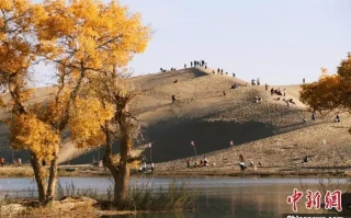 点“沙”成“金” 新疆持续挖掘沙漠旅游发展潜力