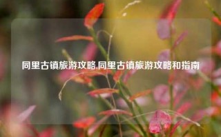 同里古镇旅游攻略,同里古镇旅游攻略和指南