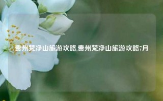 贵州梵净山旅游攻略,贵州梵净山旅游攻略7月