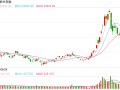 快讯：恒指高开0.54% 科指涨0.12%科网股普涨 理想汽车低开逾8%