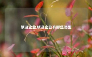 旅游企业,旅游企业有哪些类型