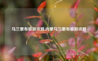 乌兰察布旅游攻略,内蒙乌兰察布旅游攻略