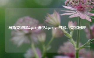 马斯克被曝"通俄"，白宫、克宫回应