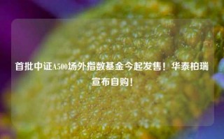 首批中证A500场外指数基金今起发售！华泰柏瑞宣布自购！