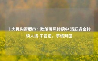 十大机构看后市：政策暖风持续中 活跃资金持续入场 不冒进，事缓则圆