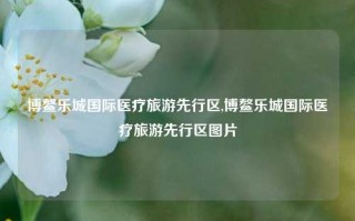 博鳌乐城国际医疗旅游先行区,博鳌乐城国际医疗旅游先行区图片