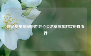 呼伦贝尔草原旅游,呼伦贝尔草原旅游攻略自由行