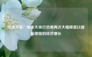 经济学家：加拿大央行恐需再次大幅降息以提振缓慢的经济增长