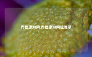 同程旅游网,同程旅游网址登录