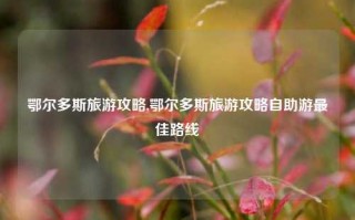 鄂尔多斯旅游攻略,鄂尔多斯旅游攻略自助游最佳路线