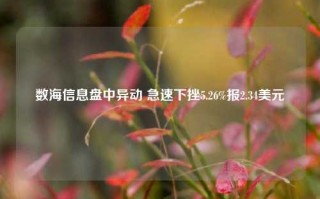 数海信息盘中异动 急速下挫5.26%报2.34美元