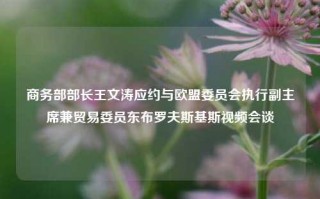 商务部部长王文涛应约与欧盟委员会执行副主席兼贸易委员东布罗夫斯基斯视频会谈