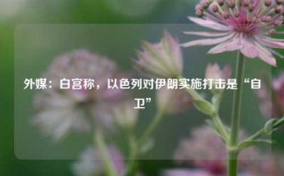 外媒：白宫称，以色列对伊朗实施打击是“自卫”