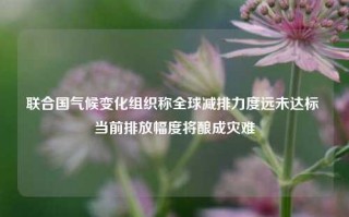 联合国气候变化组织称全球减排力度远未达标 当前排放幅度将酿成灾难